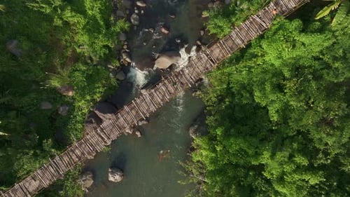 Aerial view of lush tropical jungle with suspension bridge and river, Indonesia.