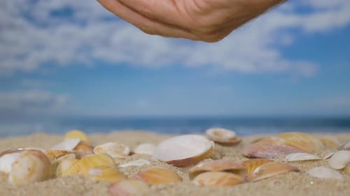 Seashells Falling from Hand on Beach