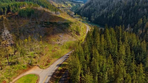 Car Driving Forest Road Aerial View