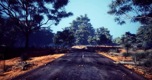 Vibrant Landscape Showcasing a Deserted Road Surrounded By Lush Greenery