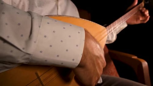 Close Up of a Musician Playing Stringed Instrument