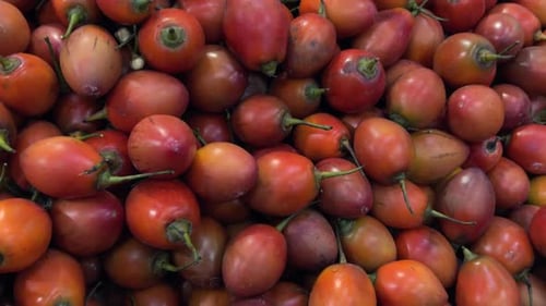 Panoramaaufnahme exotischer roter Baumtomaten auf natürlichem Hintergrund