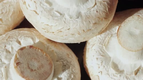 Freshly Picked Mushrooms on Home Kitchen Close Up Texture of Brown Champignon Woman Cooking Tasty