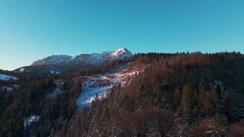 Aerial view of snow-covered mountains and forest under a blue sky in winter