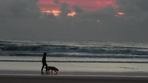 Person Walking Dog at the Beach at Sunset