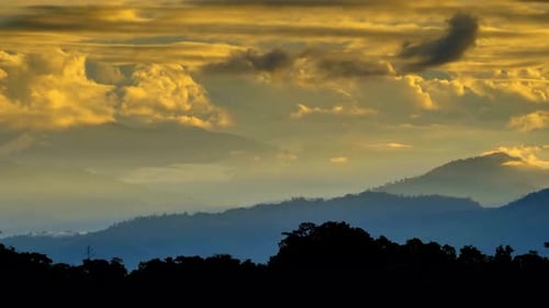 Nube y bosque