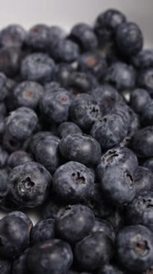 Vertikales Video von frischen Blaubeeren 88