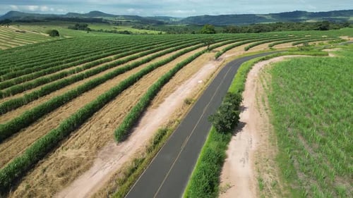 Landwirtschaftsfeld auf dem Land in ländlicher Landschaft.