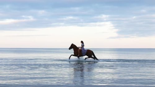 A beautiful girl with long hair in a blue dress riding a horse through the water during the evening,