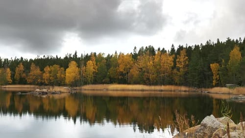 Wide static view of still lake and colorful autumn trees by shoreline