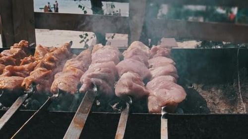 Cooking Barbecue on Skewers on the Grill in Nature Prepare BBQ on Coals
