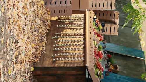 Vertical Video Empty Farmers Market Counter with Local Eco Products on Display