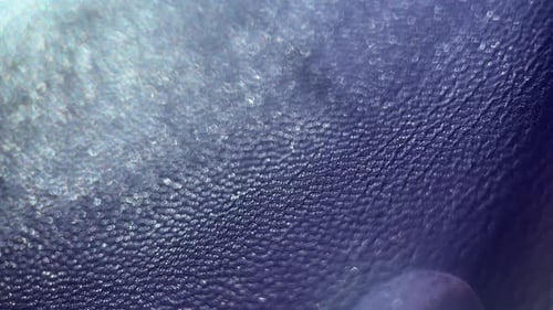 Abstract Blue Surface Texture Macro