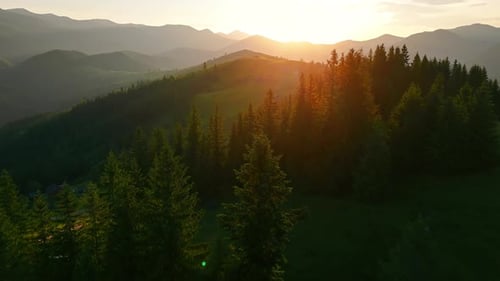 Golden Mountain Sunrise Over Forested Hills Sunlight Streams Over Distant Mountain Peaks and Dense