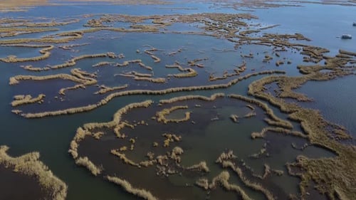 Aerial Strait with a Lot of Vegetation Dalyan Strait