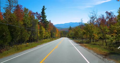 Driving Down Mountain Road, Empty Forest Drive Active
