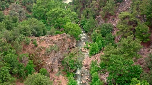 Fließender Bach im Wald