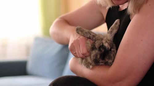Woman Cuddling Brown Rabbit Inside Home