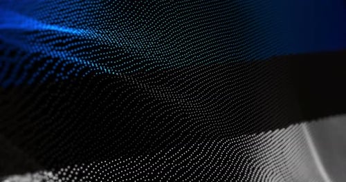 Drapeau de l'Estonie agitant un bruit de glitch