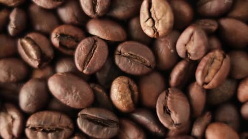 Fresh Roasted Coffee Beans close up