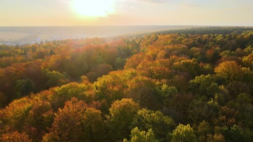View From Above of Colorful Woods at Sunset
