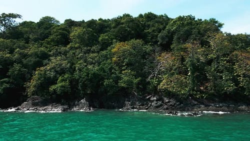 Tropical Island Coastline with Lush Green Trees