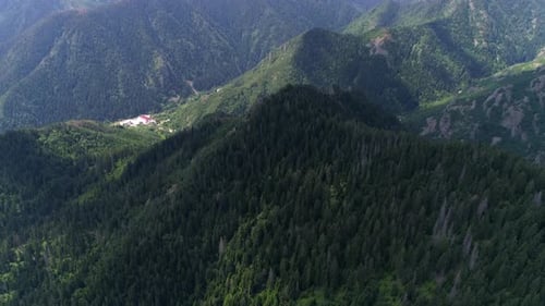 Aerial View of Mountain Peaks Covered in Green Trees