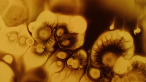 Abstract Organic Cells Background Texture and Patterns