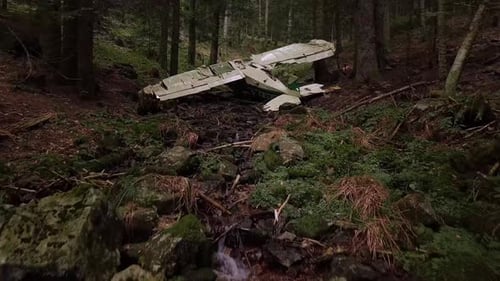 Ein Drohnenwagen schoss über ein abgestürztes Flugzeug in einem dichten Wald in der Region Rhône-Alpes in Frankreich.