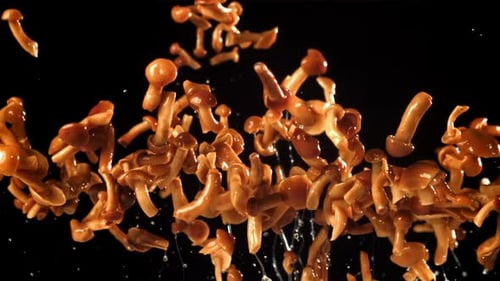 Cooked Mushrooms Falling in Slow Motion on Black