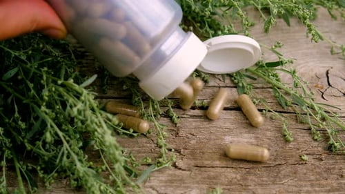 Foco seletivo de tintura e suplementos de artemísia