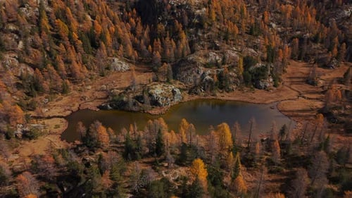 Vista aérea de Valmalenco Mufule en otoño con montañas cubiertas de nieve y árboles coloridos bajo el azul