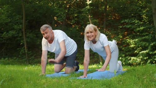 Elderly Couple Exercises Together in the Park for a Healthy Lifestyle