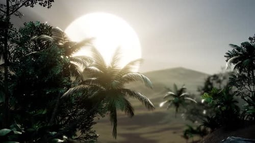 Coco Palm Trees Tropical Landscape