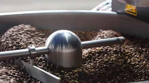Coffee Beans Roasting in Machine Close Up
