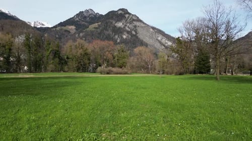 Serene Alpine Meadow View with Majestic Snow Capped Mountain Peaks