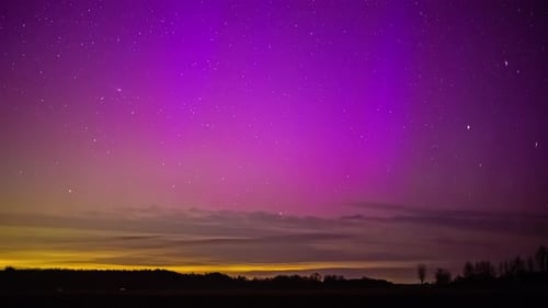 Colorful Northern Lights With Pink And Yellow Bands, Mesmerizing Spectacles In Starry Night Sky. tim