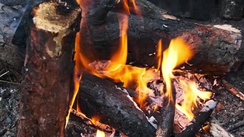 Campfire Burns CloseUp in Slow Motion in Nature in the Evening
