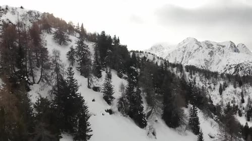 Panoramic view of snowcapped mountain range