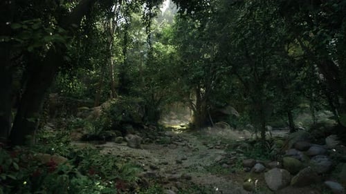 Dirt Path Cutting Through Indonesian Jungle Dark Forest