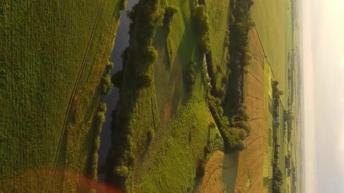 Vertical Video