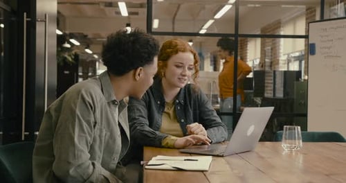 Two Young Adult Business People Meeting in Office, using Laptop in meeting room