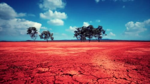 Badly Cracked Earth Under a Scorching Sun