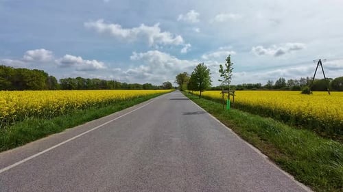 Dirija na estrada através de campos de colza florescentes em um dia ensolarado First Point View