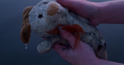 Hands Hold Worn Plush Toy Near Water
