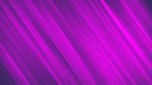 Vibrant Magenta Abstract Flowing Diagonal Lines Background