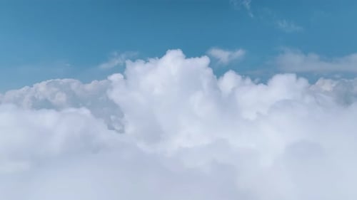 Aerial View Mysterious Forest Covered By Clouds in the High Mountains