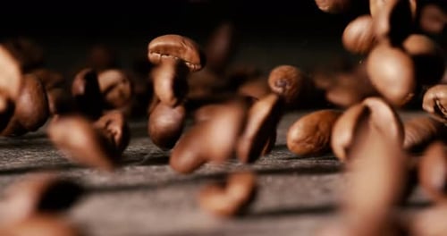 Close up of seeds of coffee. Fragrant coffee beans Super Macro Close Up. Shot on super slow motion