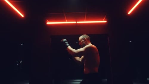 Fight Training