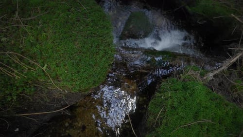 A top shot of a small stream in the middle of the forest with crystal clear water falling down the r